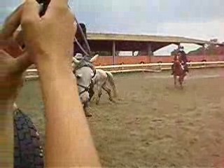 caroussel au poney club de grenade qui a dérapé