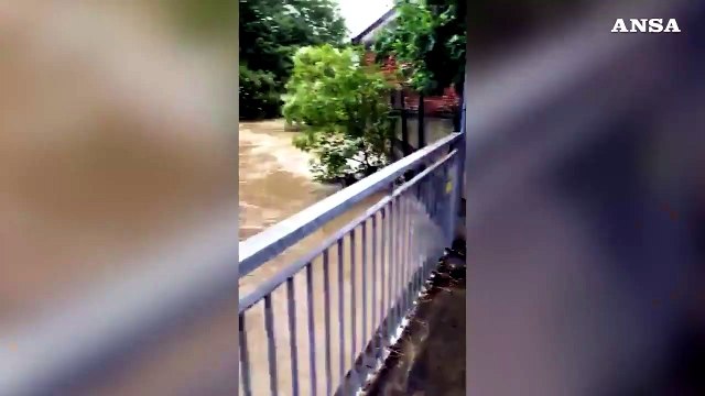 Maltempo in Veneto, l'Avenale rompe gli argini: allagamenti a Castelfranco