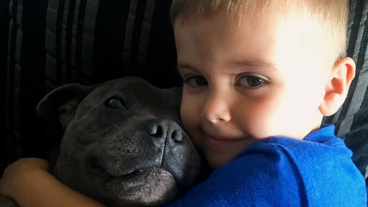 A Tribute To A Boy And His Very Best Friend
