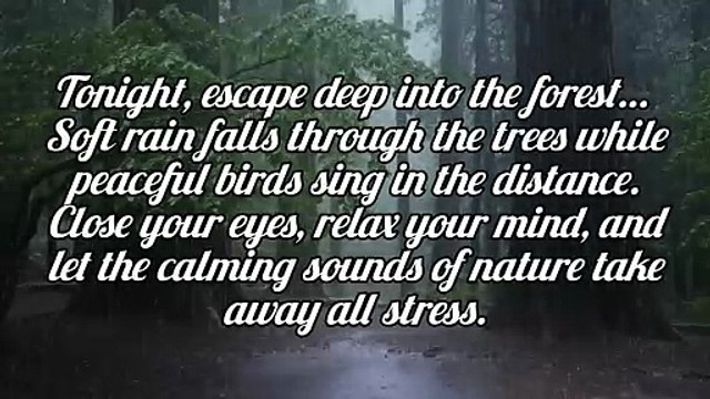 Deep Forest Rain Sounds with Birds Chirping | Relaxing Nature Ambience for Sleep, Study & Meditation #rain #relax #deepsleep #shorts #trending