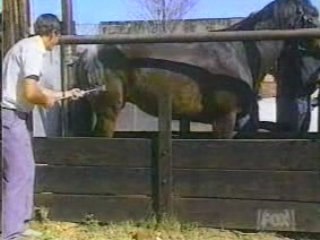 fatale horse kick !! mange les sabot mon coco !!!