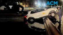 Driver allegedly delivering food reverses car into famous Sydney fountain
