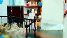 Married to a lie Chinese short drama