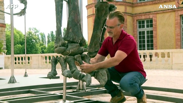 Francia, all'asta lo scheletro del piu' grande dinosauro mai venduto