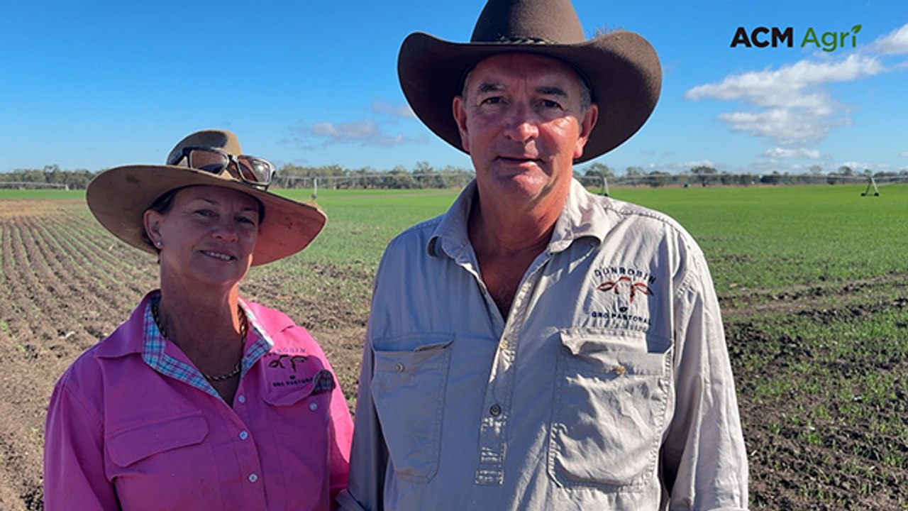 First-time cotton growers learnt some valuable lessons