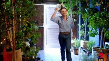 Farmer Wants A Wife | Meet Farmer Dylan The Cowboy Farmer