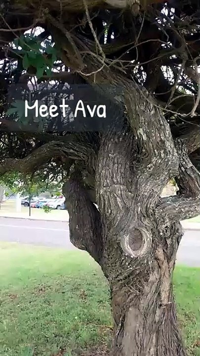 Tree People 🌳✨  Nature Comes to Life