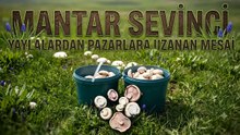 Yağışlar Mantarları Çıkardı, Vatandaşlar Yaylalara Akın Etti