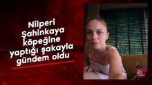 Nilperi Şahinkaya, köpeğine yaptığı şakayla gündem oldu