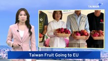 First Shipment of Fresh Summer Fruits for EU Leaves Pingtung