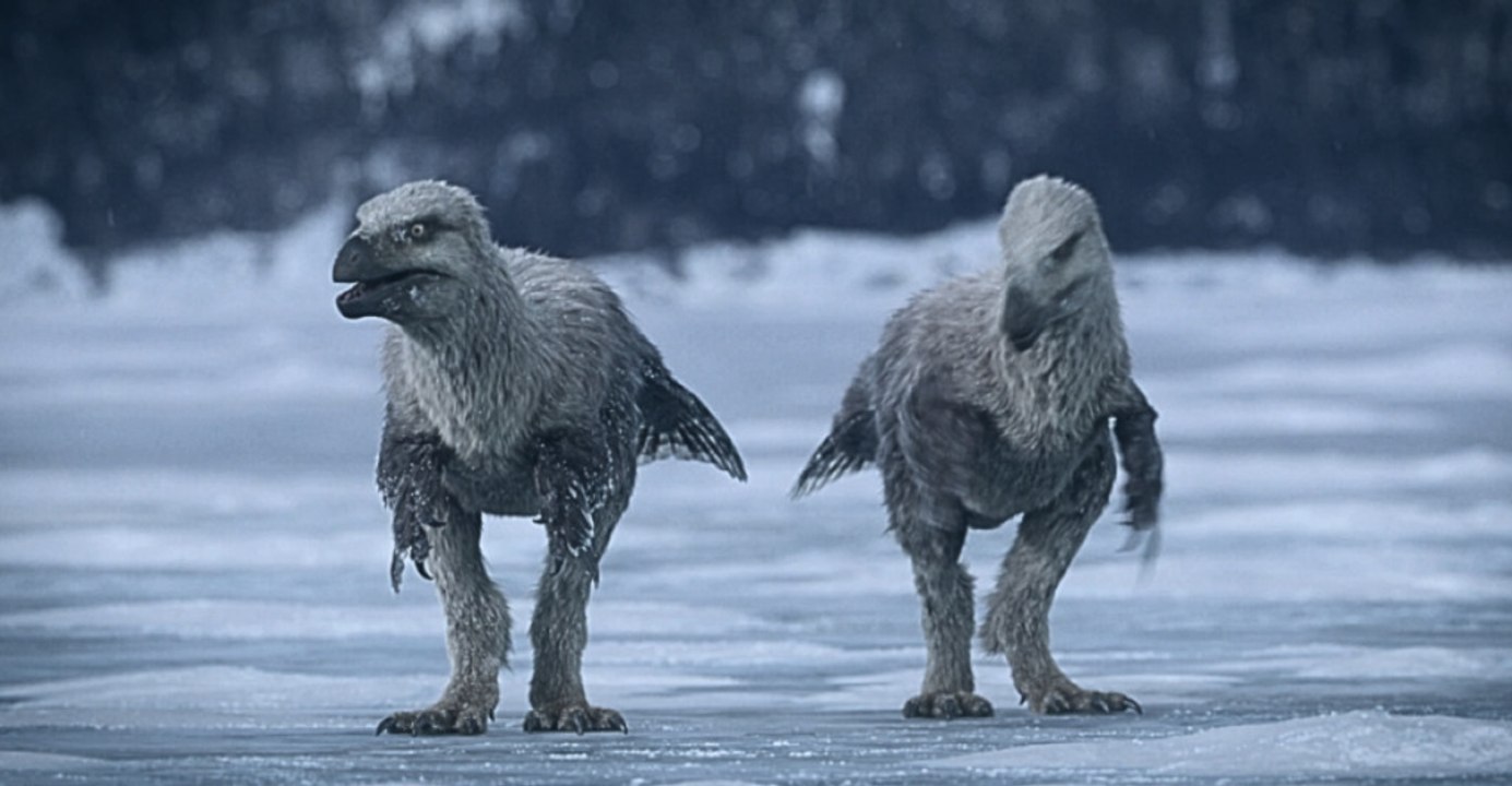 A Closer Look: Oldest Modern Bird Linked to Ancient Antarctica