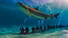 A closer look at the 11 biggest fish in American waters