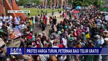 Protes Harga Telur Rendah, Peternak Bagi-Bagi Telur Gratis | SAPA SIANG