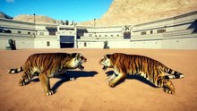 Planet Zoo (Update 1.20) ALL ANIMAL FIGHTS