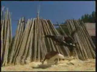 Film4vn.us-TonNgoKhongTX-21.02