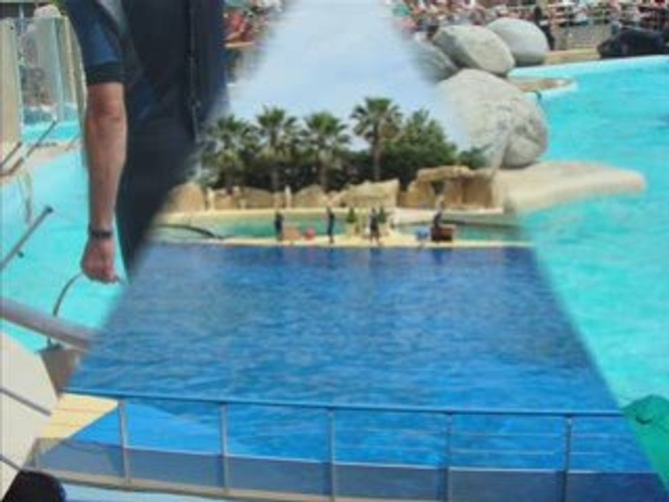 Marineland oki