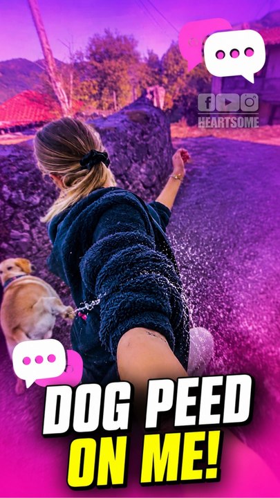 Girl Strokes A Dog And It Unexpectedly Urinates On Her