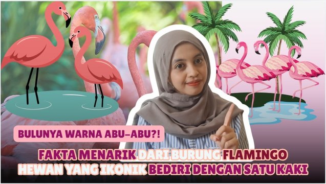 Mengenal Burung Flamingo: Fakta Menarik yang Jarang Diketahui-Serius Ini Hewan