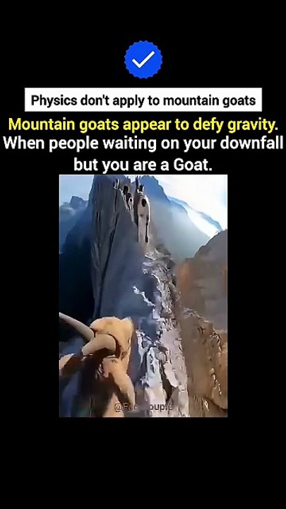 Physics don't apply to mountain goats