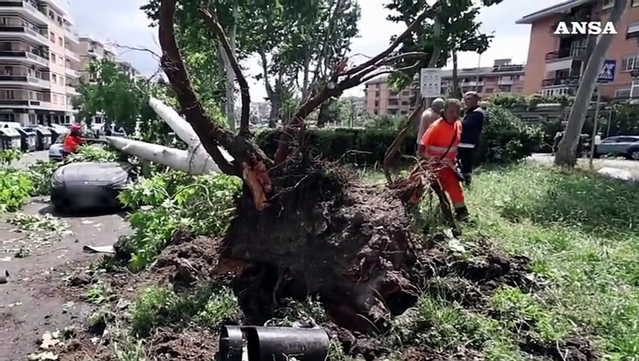 Tornado si abbatte su Roma, strage di alberi e veicoli