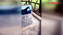 Atatürk'ün 'Bulun' emri verdiği safkan! Kömür madeninde bulundu, soyu pistlerde koşuyor