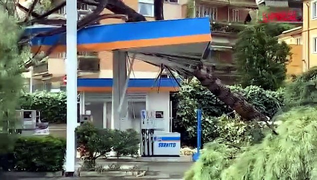 Maltempo a Roma, albero si abbatte su un distributore di carburante