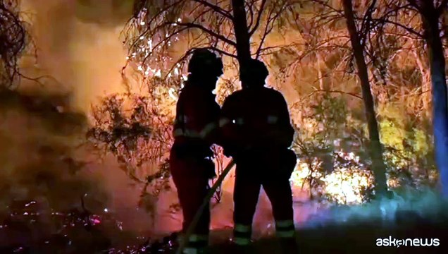 Incendi in Spagna, nella regione di Murcia già bruciati oltre 150 ettari
