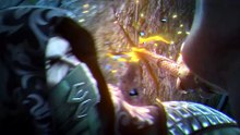 Coiling Dragon Ep. 8 Sub Indo