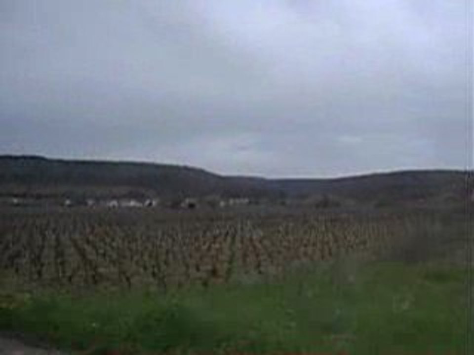 Vignes de Bourgogne