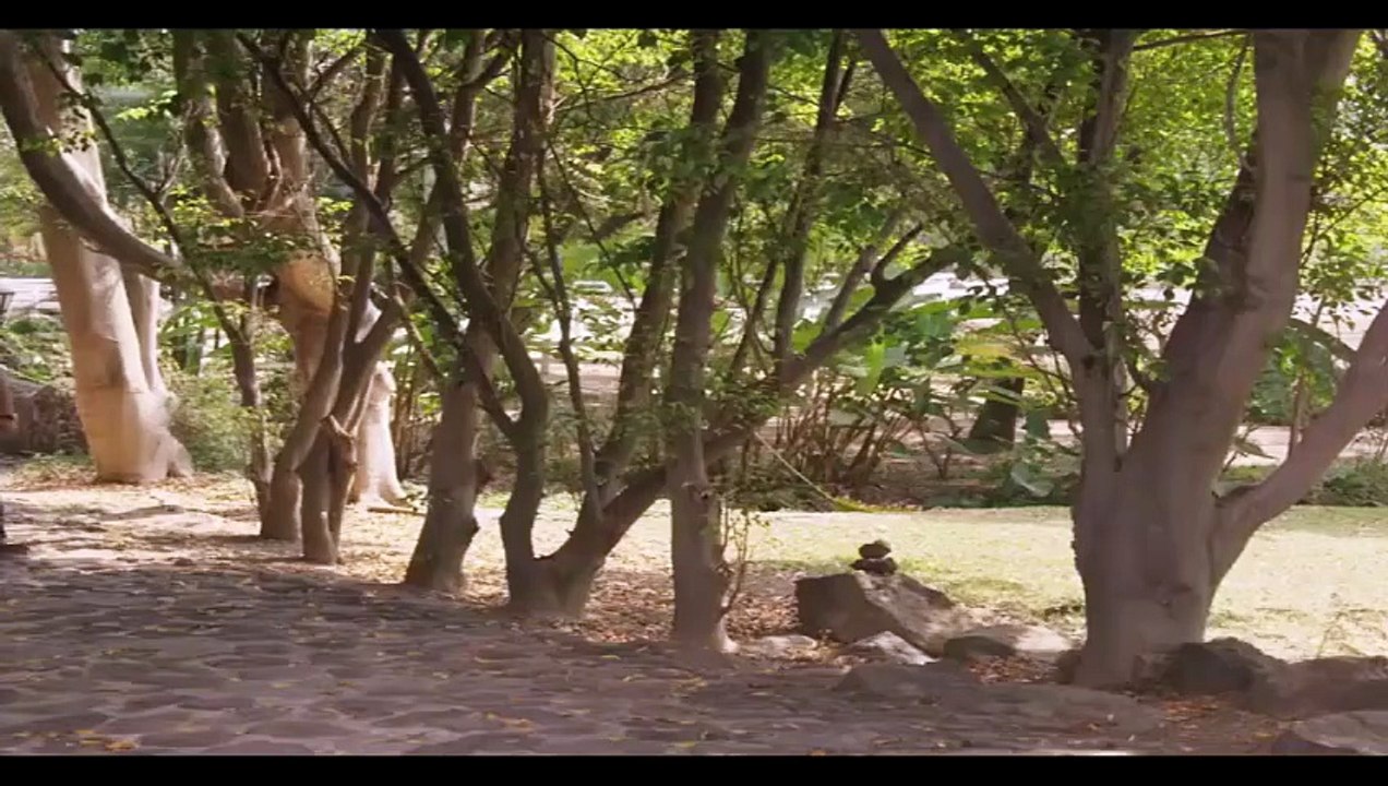 Monteverde | Capitulo 65