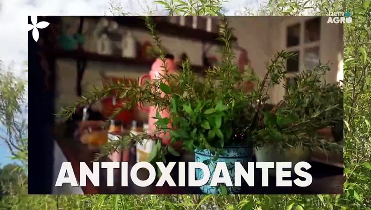 Tempero é Bem+ Agro