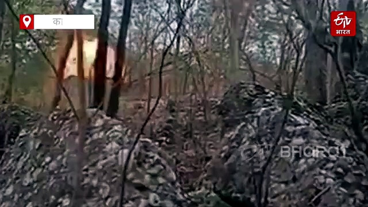कांकेर में माओवादियों का लगाया आईईडी डिफ्यूज, हिदूर के जंगल में लगाया गया था सीरीज में टिफिन बम