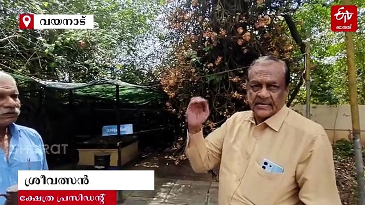 പൂക്കളിൽ തെളിയുന്ന ശിവലിംഗവും നാഗഫണവും! മാനന്തവാടി വാടേരി ക്ഷേത്രത്തിൽ വിസ്മയമായി നാഗലിംഗ മരം