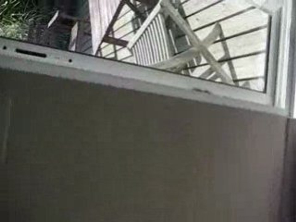 Le prédateur 1