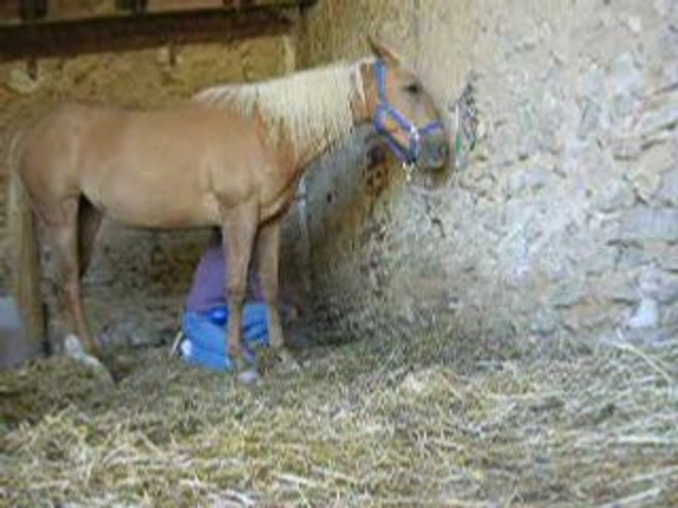 Passe en dessous