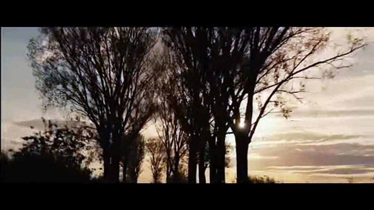 'Pájaros', tráiler de la película con Javier Gutiérrez