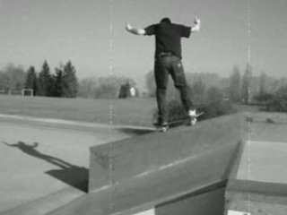 a palmito on my board jeff