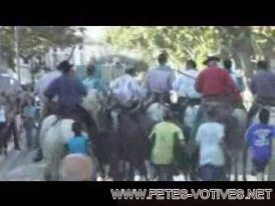 Abrivado Aimargues le 14 juin 2008