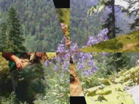 AŞAĞI KAVRUN SLAYT-kavrun.tr.gg