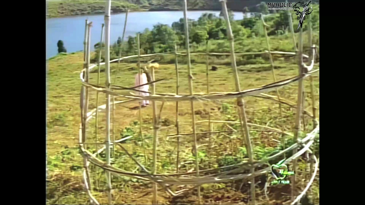 Lam Trường - Tiếng sáo phiêu bồng [OFFICIAL MV] [4K HD REMASTERED]