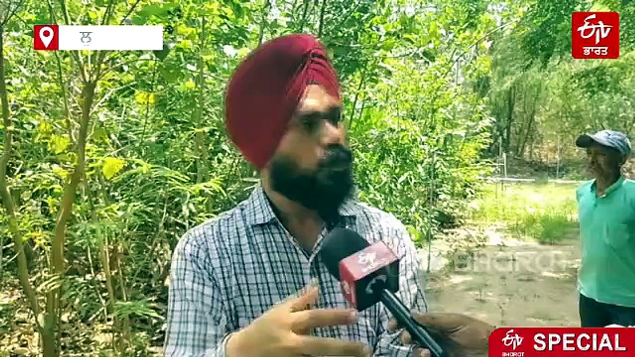 ਵਿਸ਼ਵ ਵਾਤਾਵਰਣ ਦਿਵਸ: ਹੁਣ ਤੱਕ 1600 ਜੰਗਲ ਅਤੇ 9 ਲੱਖ ਦਰੱਖਤ ਲਗਾ ਚੁੱਕੀ ਇਕੋਸਿੱਖ ਸੰਸਥਾ, ਪੜ੍ਹੋ ਹੋਰ ਕਿਹੜੇ ਕਰ ਰਹੀ ਉਪਰਾਲੇ