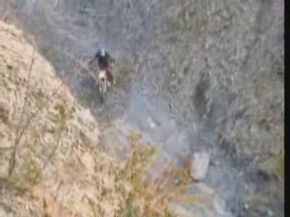 Moto tallard