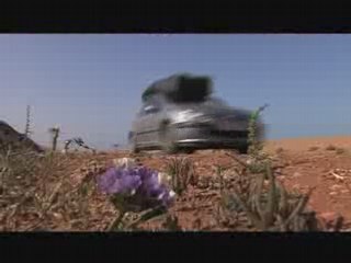 Riddim Maroc: Explore Surfing in Morocco 🌊