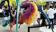 Plasman la identidad jalisciense en la exposición "Arte y Barricas", inaugurada en JAPI