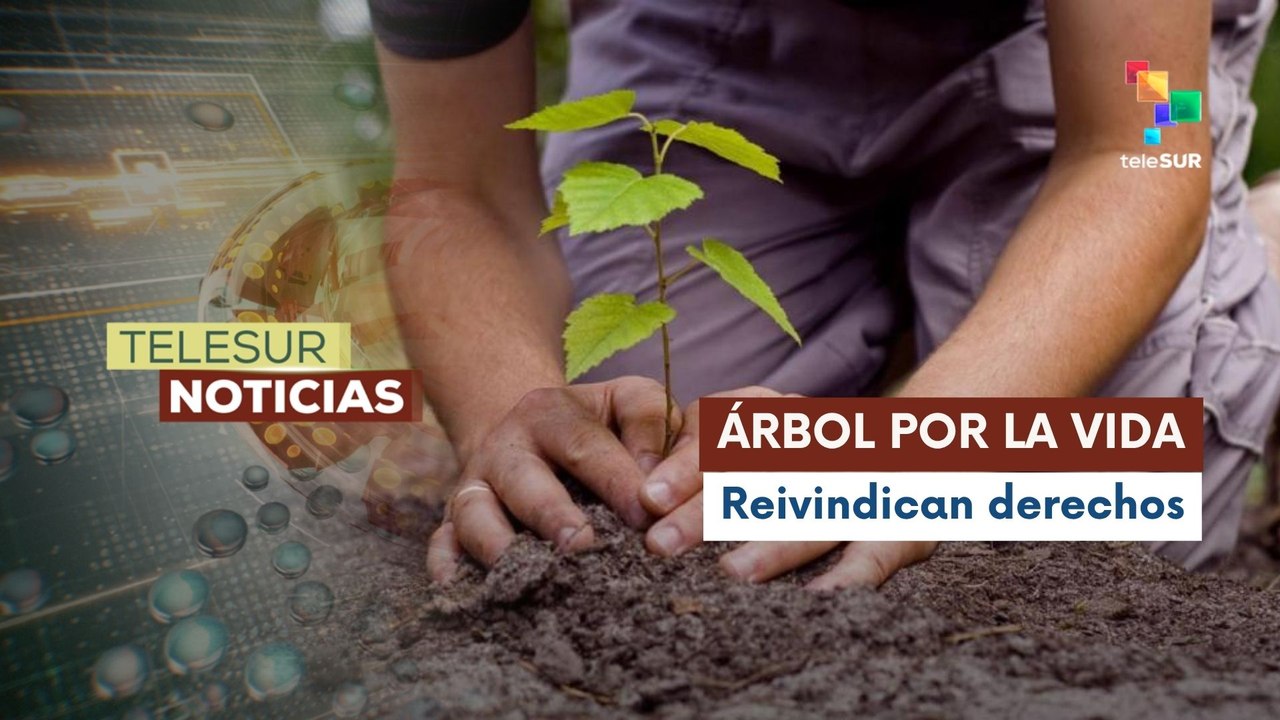 Plantan árbol por la libertad del presidente Nicolás Maduro