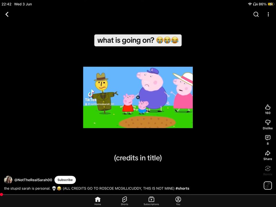 Stupid.mp4