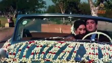 Best Of Nutan Songs (HD) | Nutan Hit Songs | Saudagar | Milan | Classic Hindi Songs | Jukebox