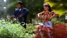 Alka Yagnik & Udit Narayan Best Romantic Duet - Pi Pi Piya - Prem Deewane