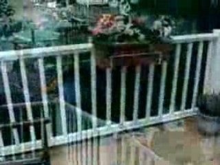 Quincy, Massachusetts (MA) real estate for sale