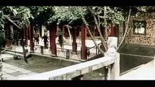 Kung Fu'nun Yedi Adımı - Türkçe Dublaj